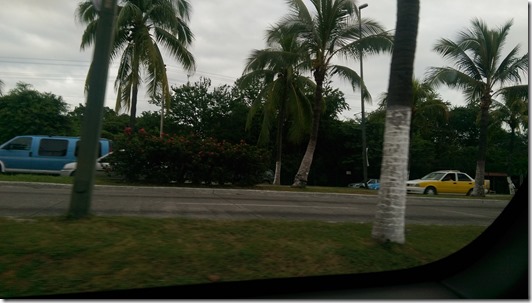 IMAG4015