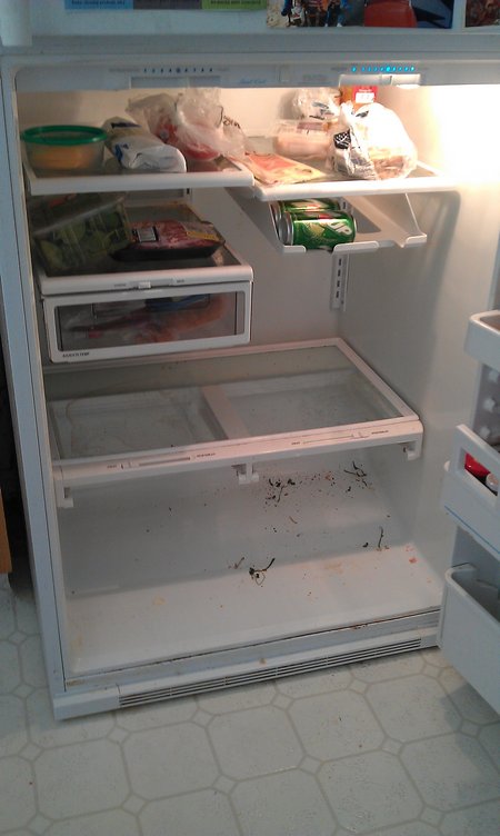 IMAG0429