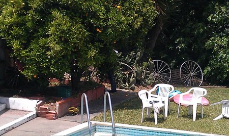 IMAG0536