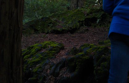 IMAG0708
