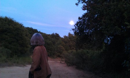 IMAG0710