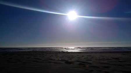 IMAG0335