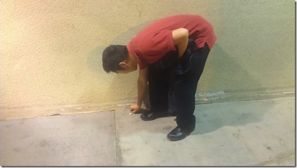 IMAG1210